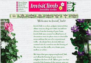 InvisiClimb Before Home page